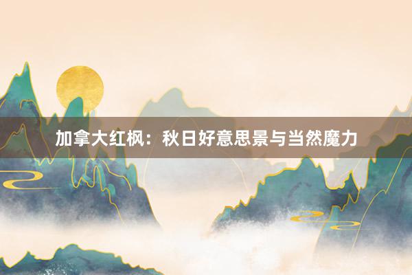 加拿大红枫：秋日好意思景与当然魔力