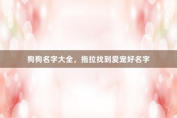 狗狗名字大全，拖拉找到爱宠好名字