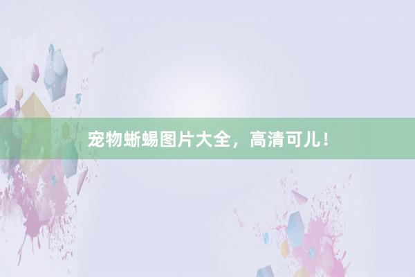 宠物蜥蜴图片大全，高清可儿！